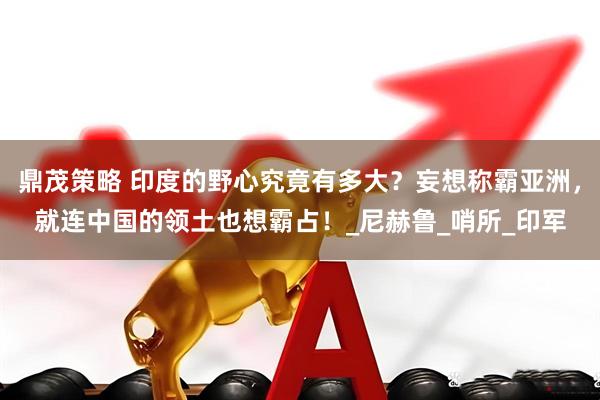 鼎茂策略 印度的野心究竟有多大?妄想称霸亚洲,就连中国的领土也想霸占!_尼赫鲁_哨所_印军